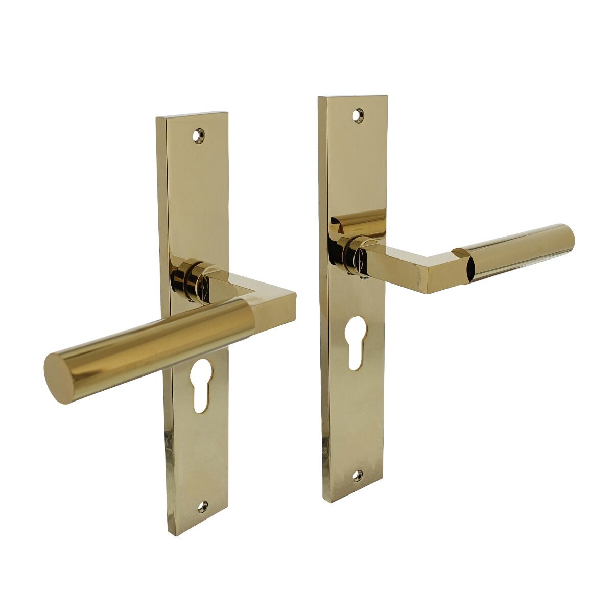 Intersteel Door handle, Bau-Stil door handle on shield