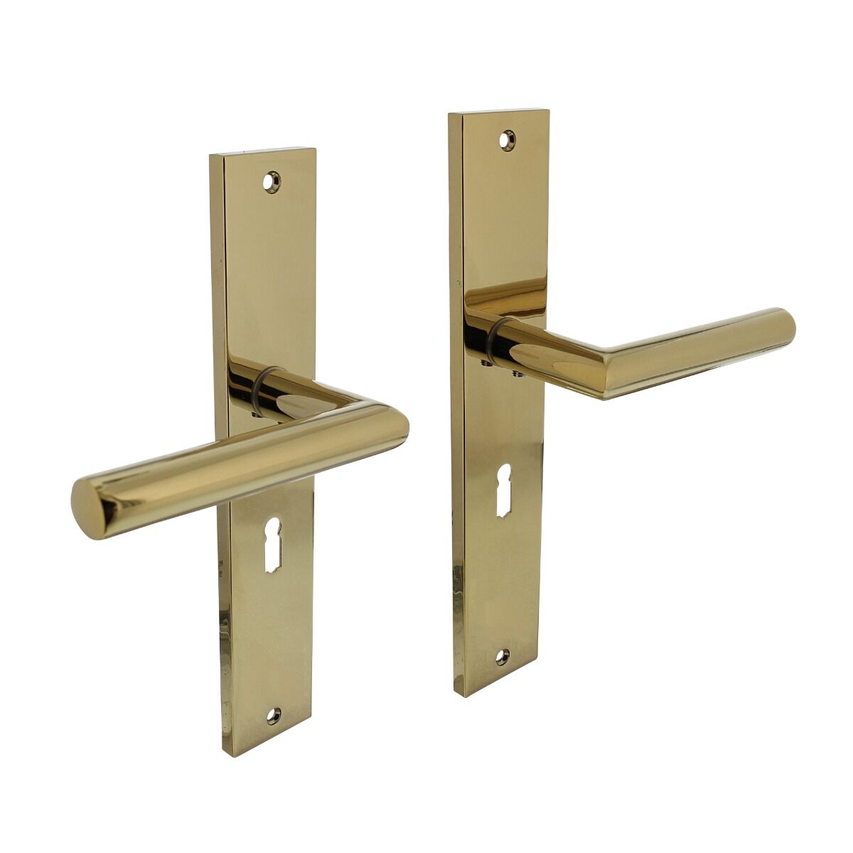 Intersteel Door handle, Bastian door handle on shield