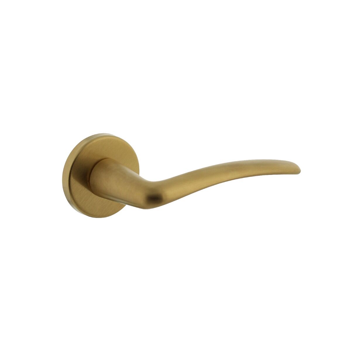 Intersteel Door handle Zaia with rosette ¸50x7 mm brass, matt to
